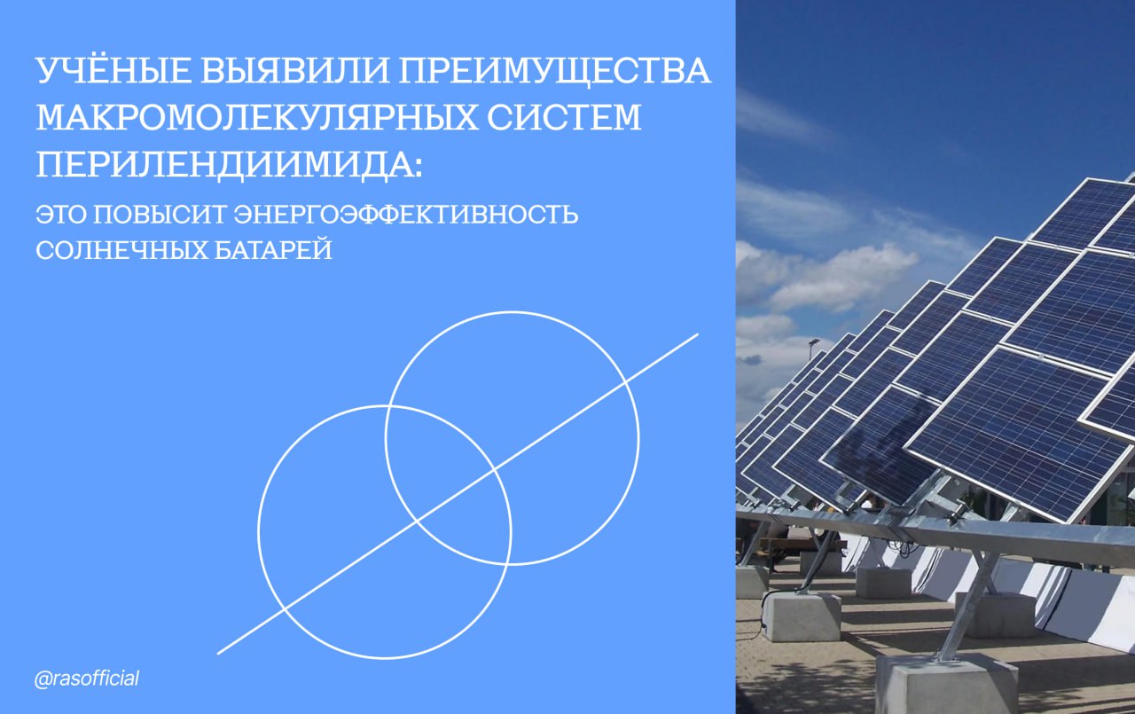 Учёные выявили преимущества макромолекулярных систем перилендиимида: это поможет предотвратить потери энергии и деградацию солнечных батарей